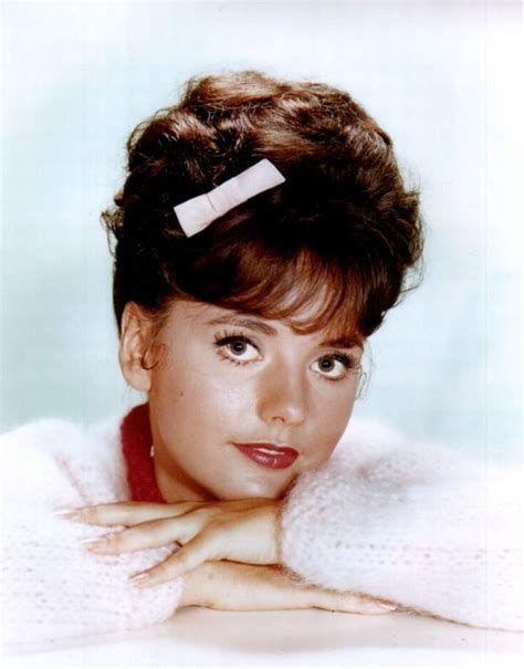 nude photos of dawn wells|30 Portrait Photos of Dawn Wells in the 1960s